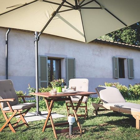 Gatto Rosso Bed & Breakfast Bolgheri Bagian luar foto