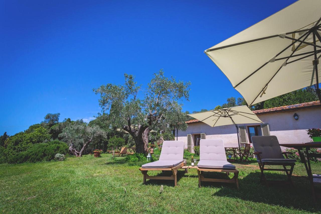 Gatto Rosso Bed & Breakfast Bolgheri Bagian luar foto