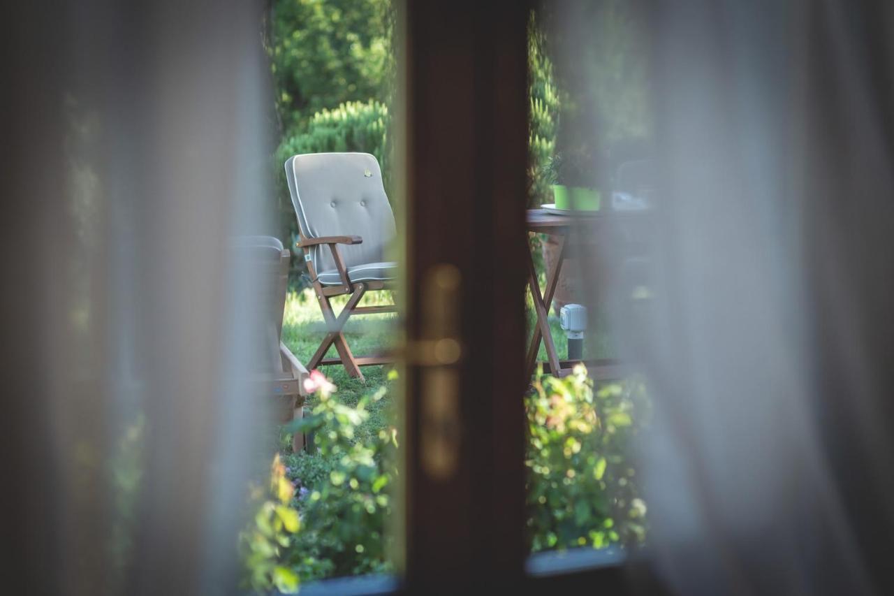 Gatto Rosso Bed & Breakfast Bolgheri Bagian luar foto