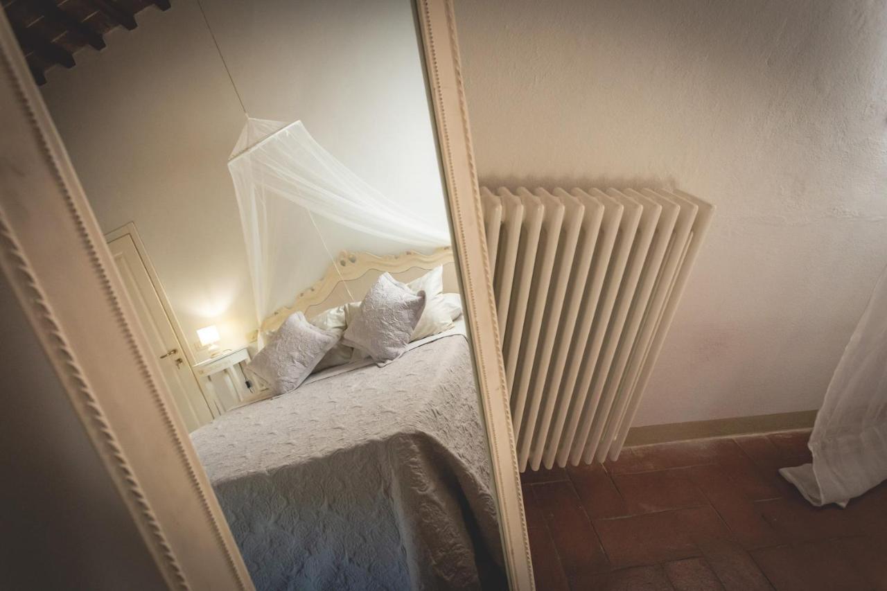 Gatto Rosso Bed & Breakfast Bolgheri Bagian luar foto