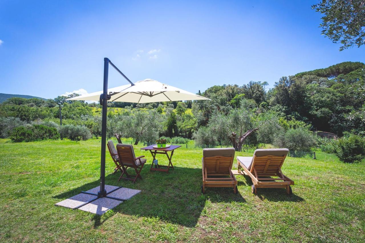 Gatto Rosso Bed & Breakfast Bolgheri Bagian luar foto