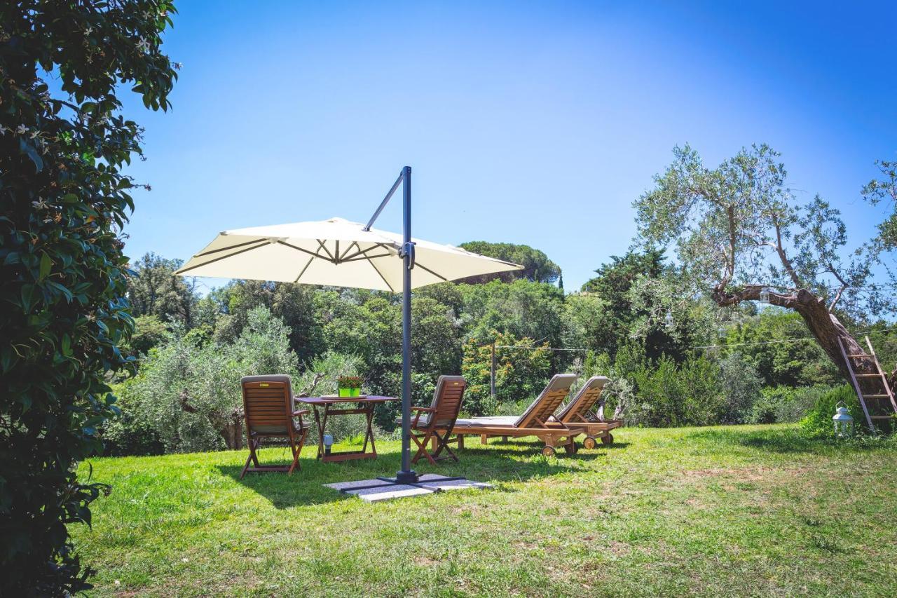 Gatto Rosso Bed & Breakfast Bolgheri Bagian luar foto