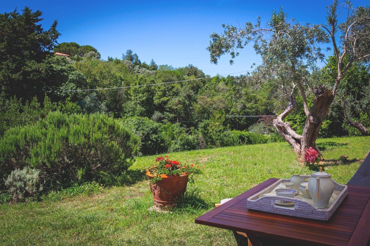 Gatto Rosso Bed & Breakfast Bolgheri Bagian luar foto