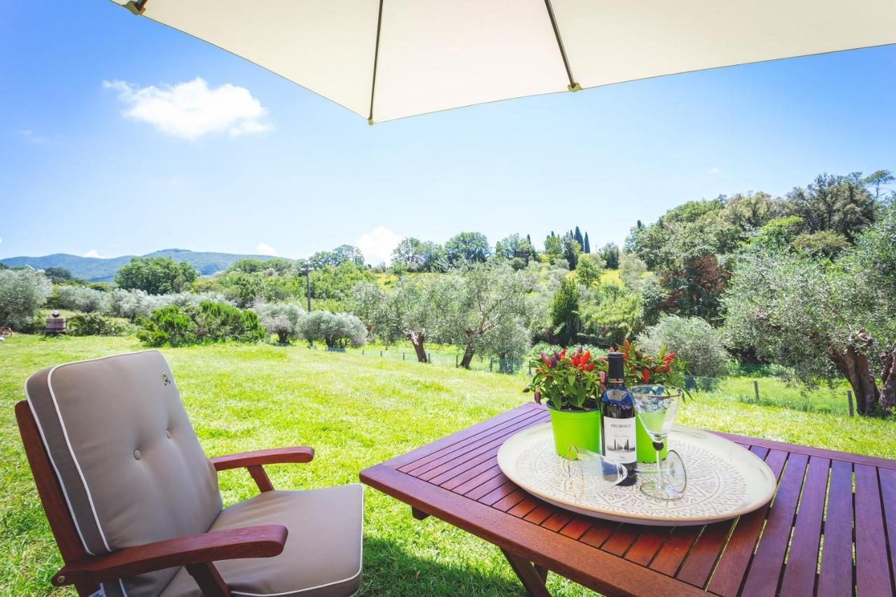 Gatto Rosso Bed & Breakfast Bolgheri Bagian luar foto