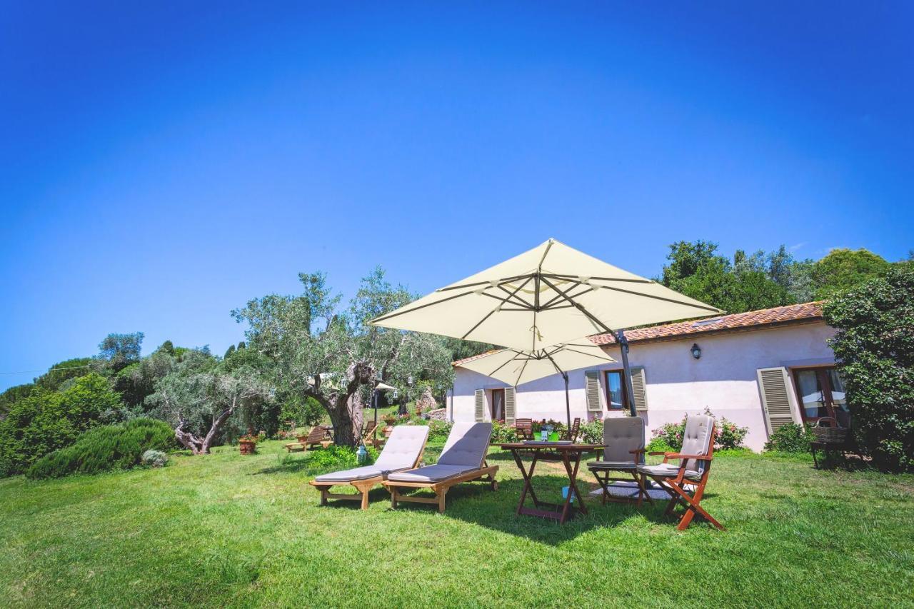Gatto Rosso Bed & Breakfast Bolgheri Bagian luar foto