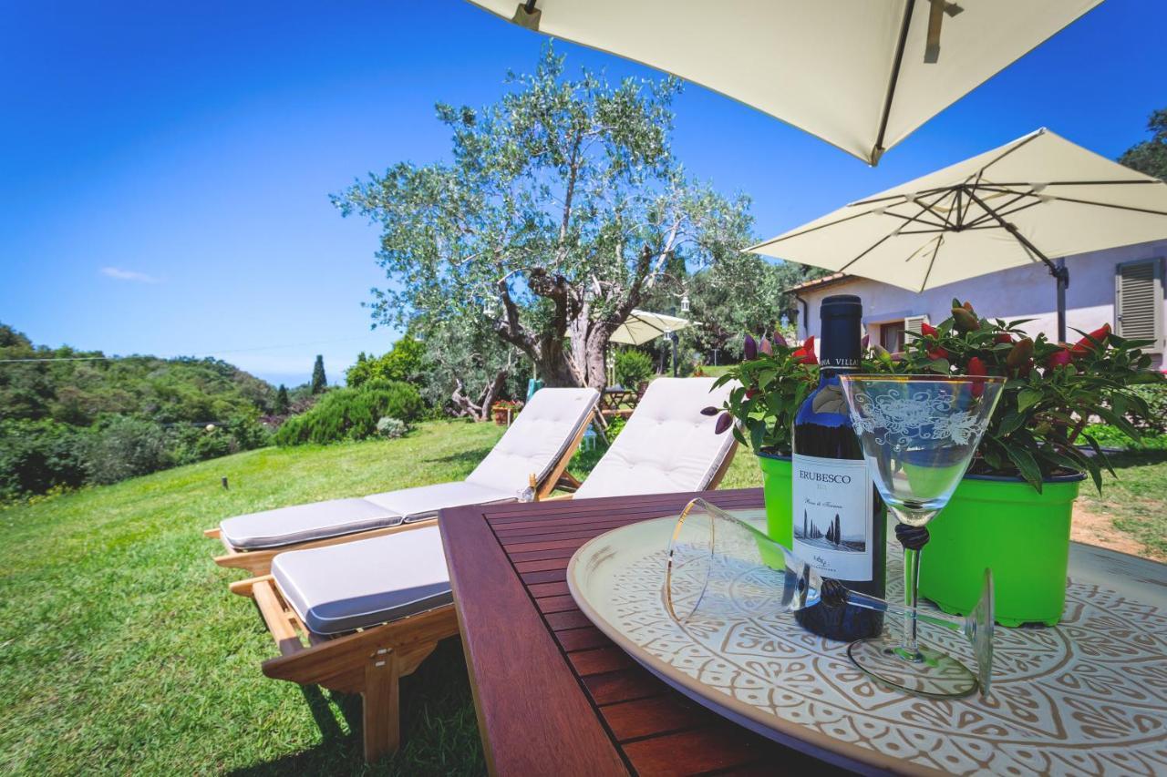 Gatto Rosso Bed & Breakfast Bolgheri Bagian luar foto