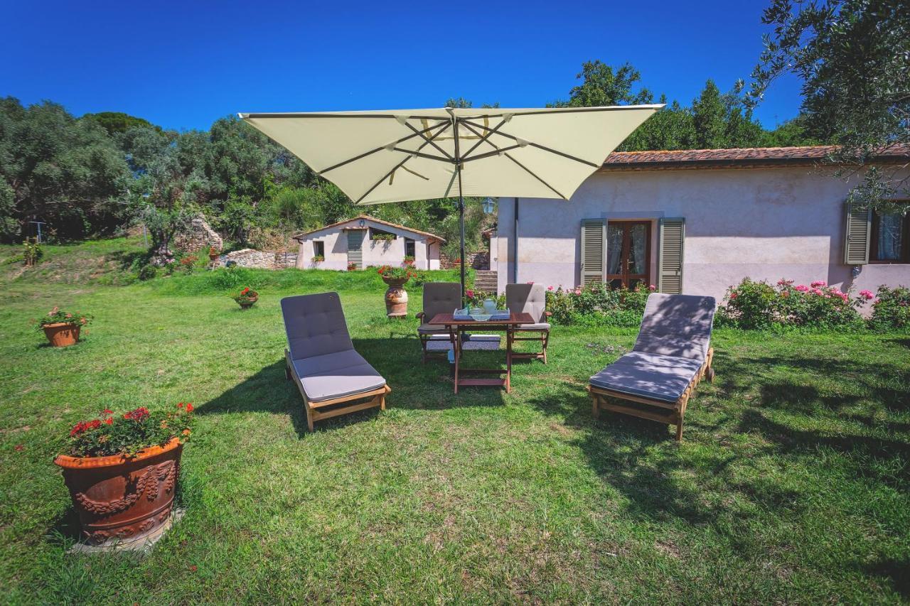Gatto Rosso Bed & Breakfast Bolgheri Bagian luar foto